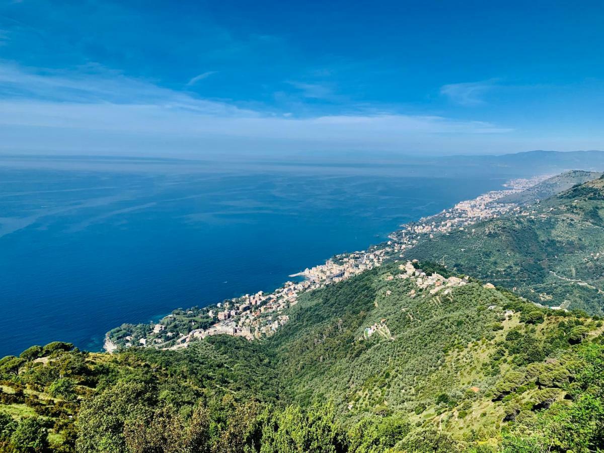 Casa Bubo Apartment Bogliasco Exterior photo